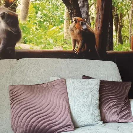 Escapade Nature - Lumineux, Spacieux Au Coeur D'annecy Apartamento Annecy