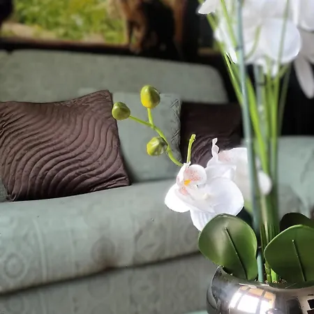 Escapade Nature - Lumineux, Spacieux Au Coeur D'annecy